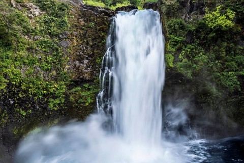 Waterfall falls over mossy rock face into basins surrounded by thick vegetation, Huilo Huilo