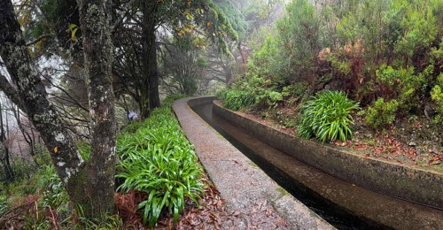 PR17 Pinaculo e Folhadal hiking trail, Levada, Irrigation Canal, Madeira, Portugal
