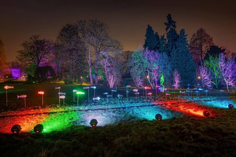 From 9 December 2023 to 14 January 2024, the Palmengarten in Frankfurt am Main will host the Winter