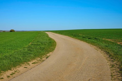 Curved dirt road through vast green areas under a clear blue sky, Ergersheim, Neustadt an der