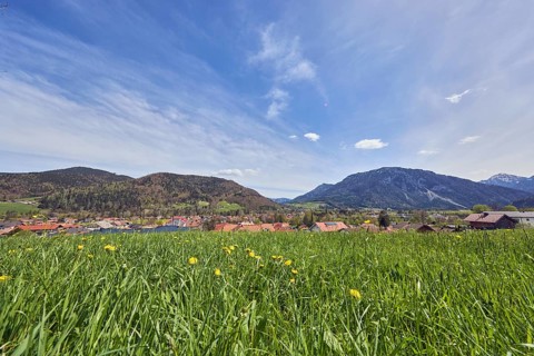 Eastern Chiemgau Alps, common dandelion (Taraxacum sect. Ruderalia), landscape photography,