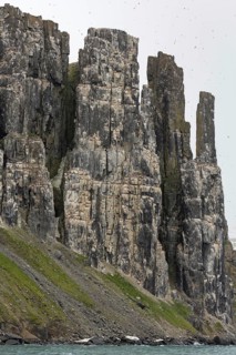 Alkefjellet, sea cliff housing seabird colony of thick-billed murres (Uria lomvia), Brünnich's