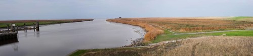 Panorama, mudflats, reeds, Nieuwe Statenzijl, Netherlands