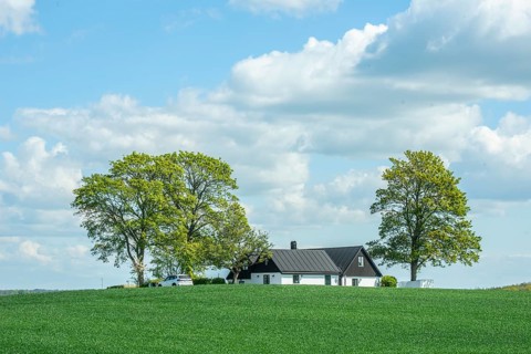Farm in landscape with green crops in Vallösa, Ystad municipality, Skåne county, Sweden,