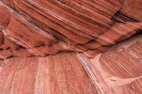 Close-up of a sandstone surface showcasing intricate layers and textures in warm earthy tones. The
