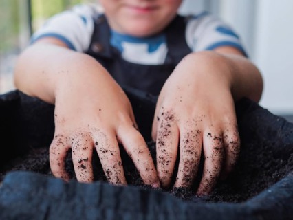 Cropped unrecognizable child busily engages in gardening, their hands covered in dirt, symbolizing