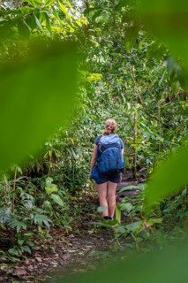 Tourist exploring rainforest, dense vegetation, Tortuguero National Park, Costa Rica