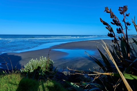 Coastal view from the green shore with a view of the blue sky and the wide sea, Muriwai Beach,