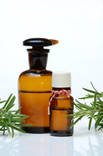 Bottled rosemary oil and rosemary sprig, medicinal plant