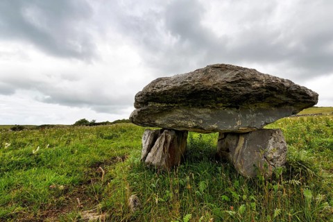 Unknown dolmen in a meadow, County Clare, Ireland