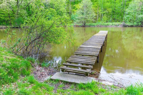 Old wooden footbridge leads into a small lake, Lausker Skala, Lauske, Weißenberg, Saxony, Germany