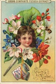 Picture series Flora's children, portrait of a child surrounded by blossoms and flowers, Liebig