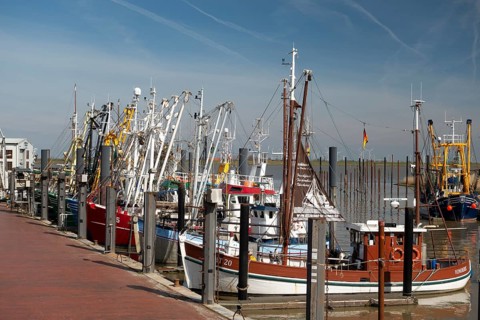 Fishing boat, harbour, Ditzum, East Frisia, Lower Saxony, Germany