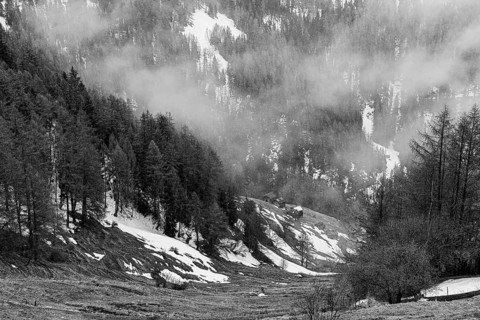 Wooded steep slope with snow remains and alpine huts, black and white photograph, near Chandolin,