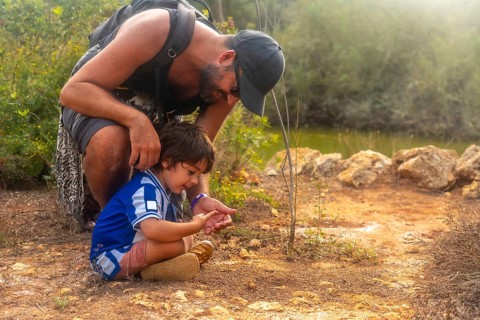 A man and a boy are looking at a tree. The boy is wearing a blue shirt and shorts