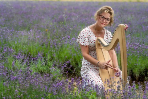 Playing the harp in the lavender field