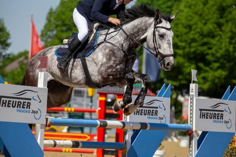 Maimarkt Tournament Mannheim 2025, Show Jumping: Prize of the Mannheimer Ausstellungs mbH***Fabio