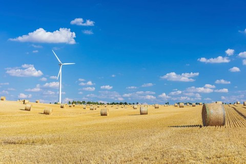 Straw bales on a harvested grain field, stubble field, in the background a wind turbine, Nossen,