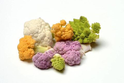 Colored cauliflower, Brassica oleracea var. botrytis