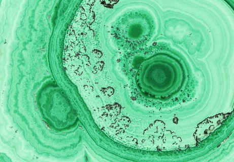Detailed macro image of a polished malachite stalactite from the Democratic Republic of the Congo,