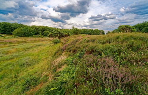 Ripple-crowned dune area in the Schleswig-Holstein municipality of Jörl. The nature reserve Düne am