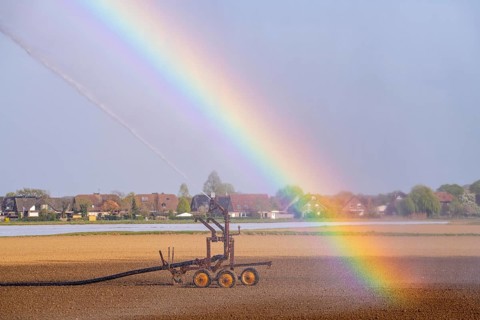 Artificial irrigation of a field, freshly sown, in April, with a sprinkler system, long dry spell