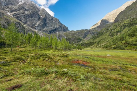 Gradenmoos in Gradental, Schober Group, Hohe Tauern National Park, Putschall, Spittal an der Drau,