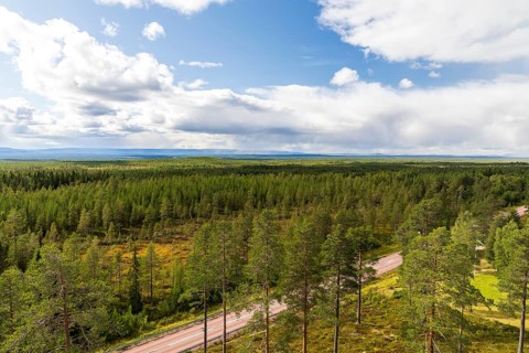 View from Bunkris Brandtorn fire watch tower over vast forests, Bunkris near Älvdalen, Dalarnas