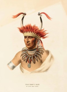 Chon-Mon-I-Case. An Otto Half Chief (ca. 1837-1844), Native American, Historical Native American