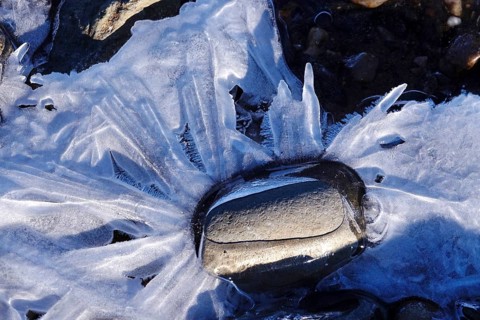 Ice on the banks of the Elbe, Winter, Germany