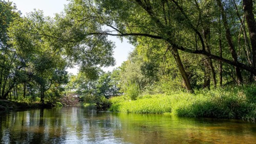 River landscape of the Thaya in late summer, Czech Republic