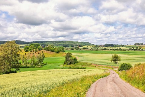 Scenic view with a winding dirt road through green fields in a serene countryside with rolling