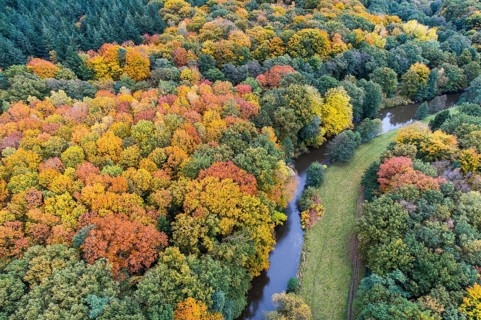 Hunte in autumn Barneführer wood, forest, autumn colors, Westerburg, Wardenburg, Lower Saxony,