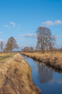 View of the vegetation along the Fangegraben at the Steinhuder Meer, ditch, trees, landscape photo,