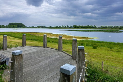 Sophia Polder, Sophiapolder, nature reserve and refuge for water birds near Oostburg, Zeeland,