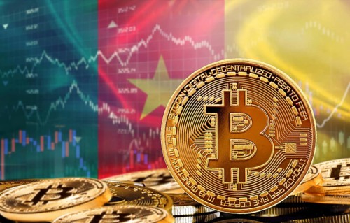 Investors in cryptocurrency and Blockchain Technology in Cameroon, Concept. Bitcoin with