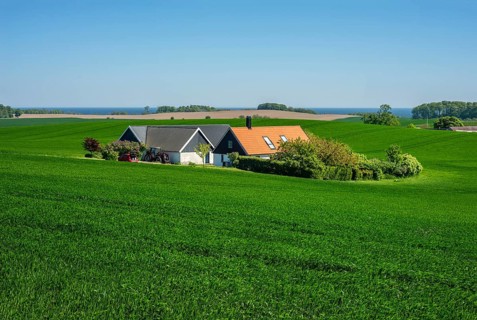 Landscape with Farm and green crops in Sjörup, Ystad Municipality, Skåne County, Sweden,