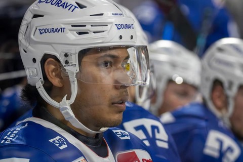 DEL, German Ice Hockey League 2024/25 season, matchday 44: Adler Mannheim v ERC