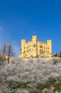 A yellow castle with eye-catching towers on a snow-covered hill under a blue sky, Hohenschwangau