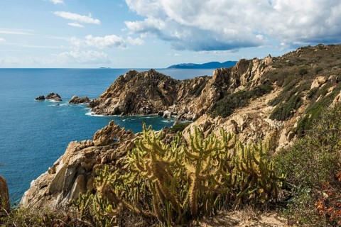 Coastal landscape with cacti and rocks, Capo Ferrato, Muravera, Province of Cagliari, Sardinia,