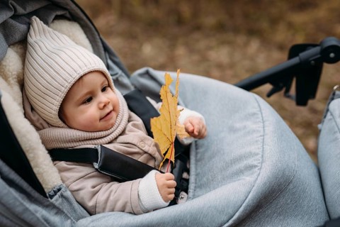 A cute baby dressed warmly in a hat and coat sits in a stroller, joyfully holding a fallen autumn