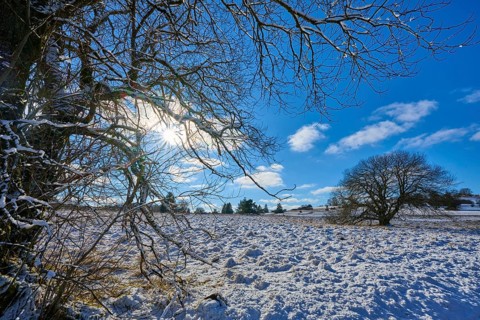 Sun shining through the bare branches of a tree in a snow-covered landscape, winter, Oberelsbach,