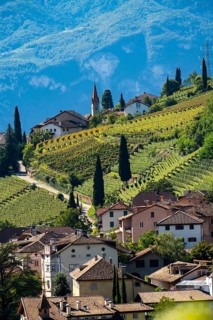 Landscape in the Adige Valley, in South Tyrol, above the village of Tramin, vineyards dominate the