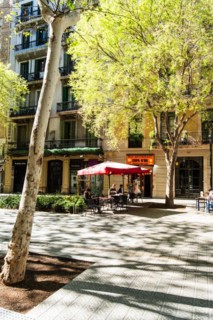 Superblock or Superilla in the Eixample neighbourhood, a highly restricted area of the city in