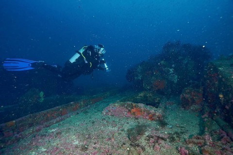 Diver over a shipwreck, Le Donator wreck dive site, Giens Peninsula, Mediterranean Sea,