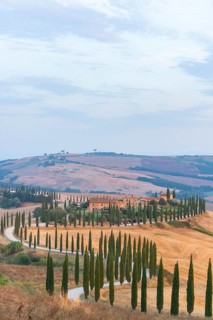 Typical Tuscan landscape in Crete Senesi with hills, trees, fields, cypresses and farm road in