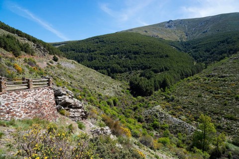 Green valley with densely wooded hills, sunny day and clear views of the unspoilt landscape,