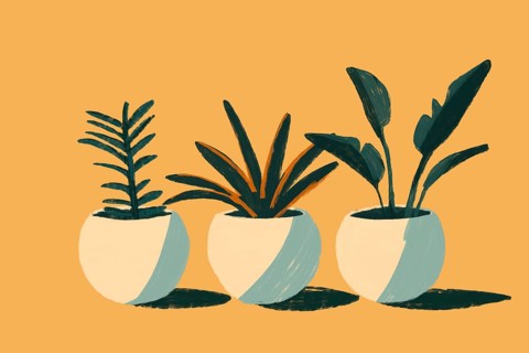 A charming set of three minimalistic illustrations featuring summer plants in stylish, round pots