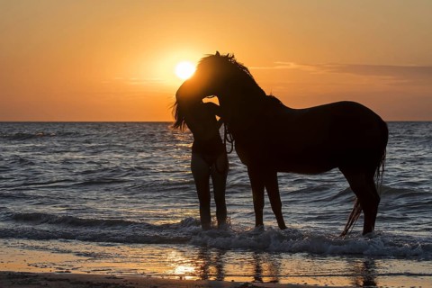 Horsewoman / female horse rider leaving the water with horse on the beach at sunset along the North