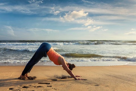 Yoga outdoors, young sporty fit woman doing Ashtanga Vinyasa yoga asana Adho mukha svanasana,
